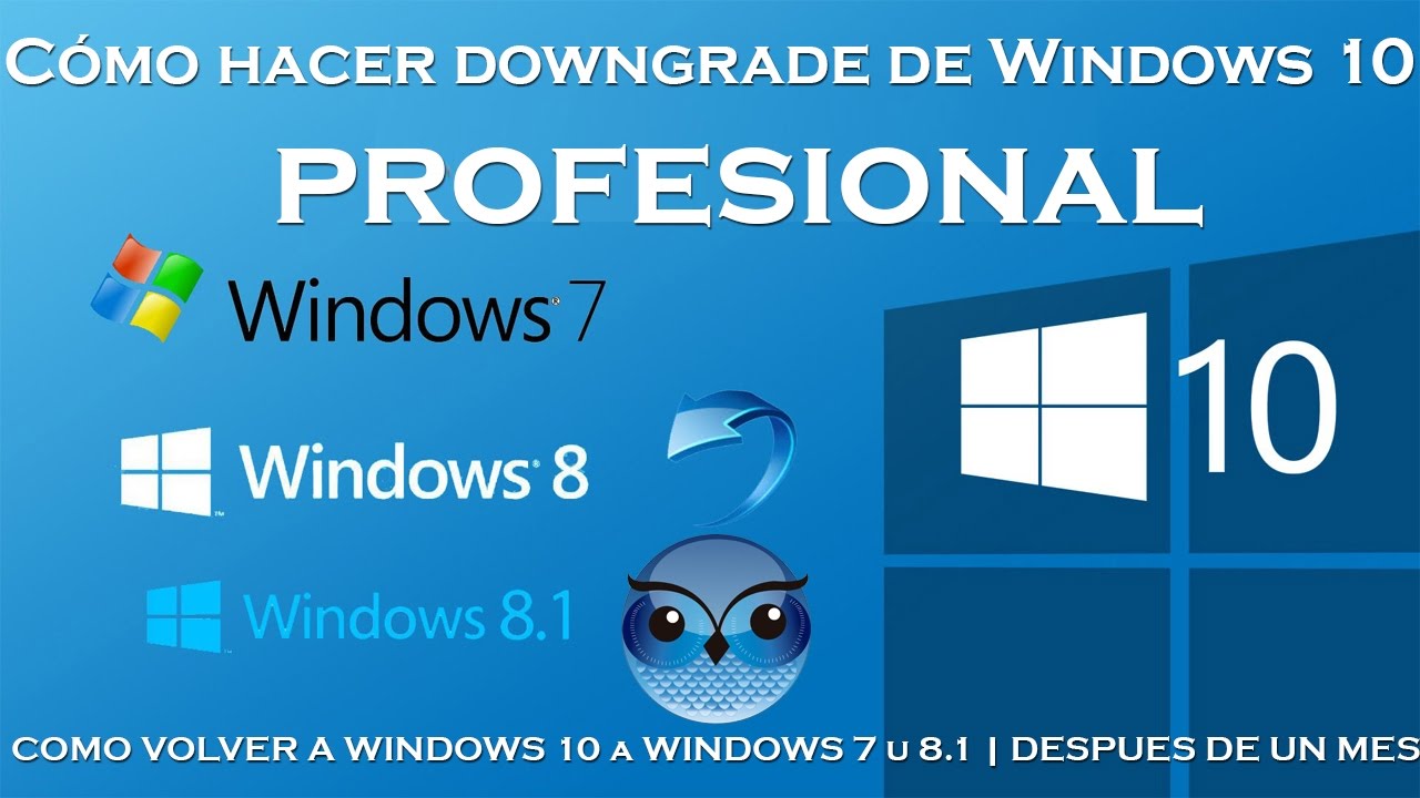 ¿Cómo volver a Windows 8?
